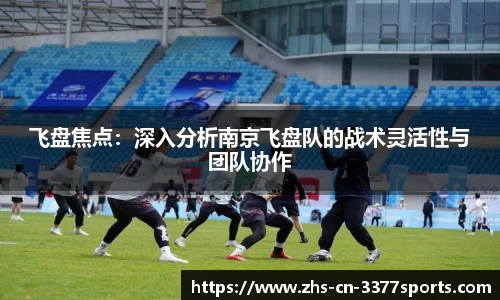 飞盘焦点：深入分析南京飞盘队的战术灵活性与团队协作